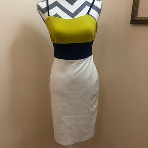 Fitted Colorblock Dress